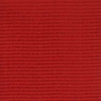 Webbing Swatch