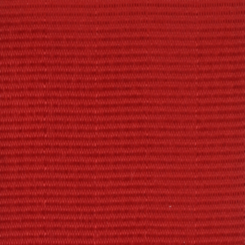 Webbing Swatch
