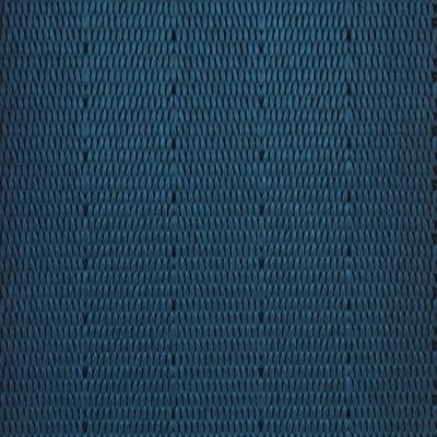 Webbing Swatch