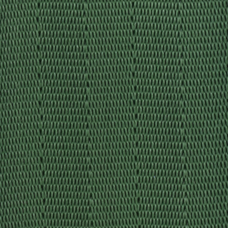 Webbing Swatch