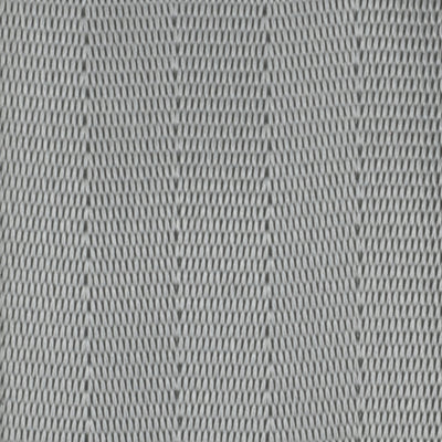 Webbing Swatch