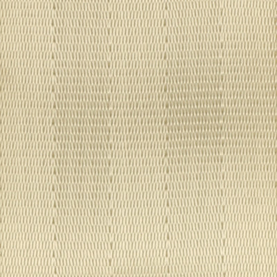 Webbing Swatch