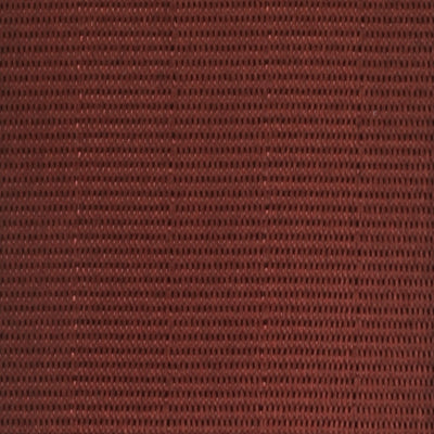 Webbing Swatch