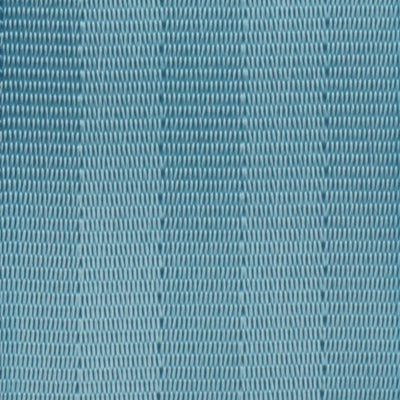 Webbing Swatch
