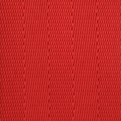 Webbing Swatch