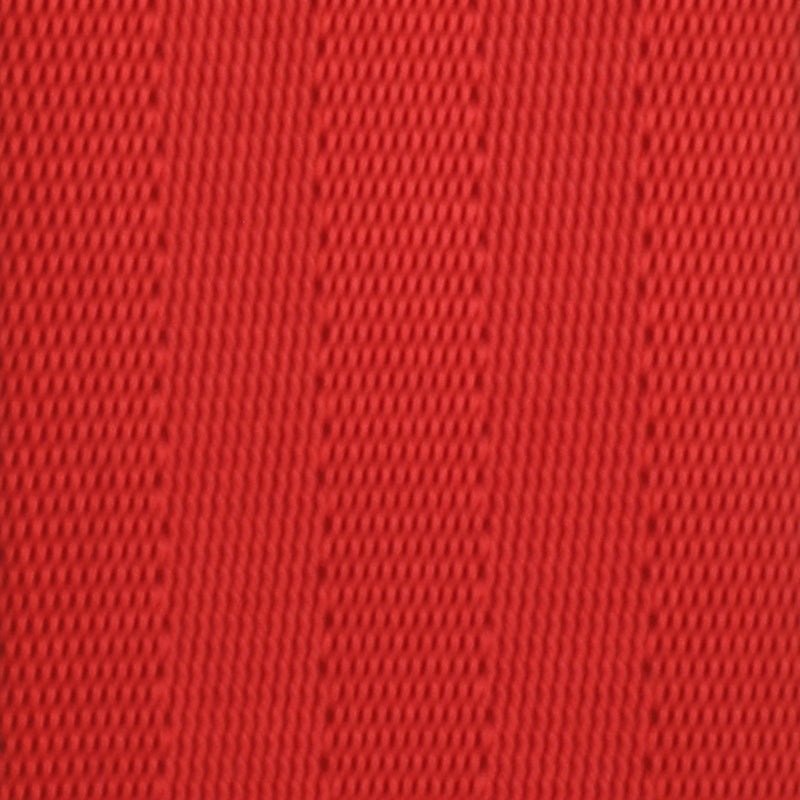 Webbing Swatch