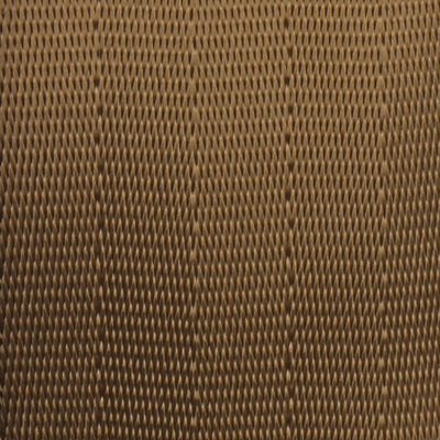 Webbing Swatch